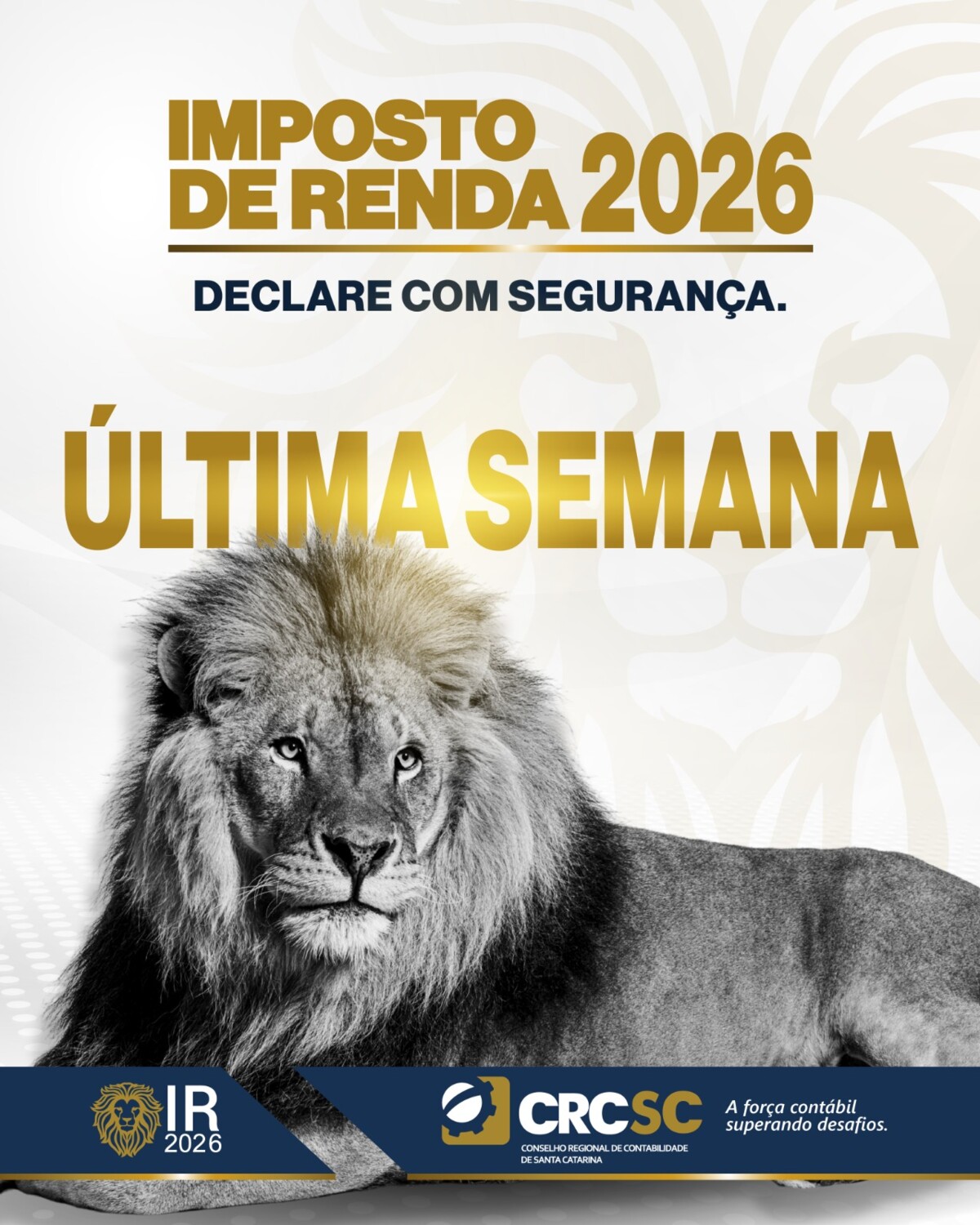 reta-final-do-imposto-de-renda-2026-crcsc-reforca-importancia-do-apoio-do-profissional-da-contabilidade