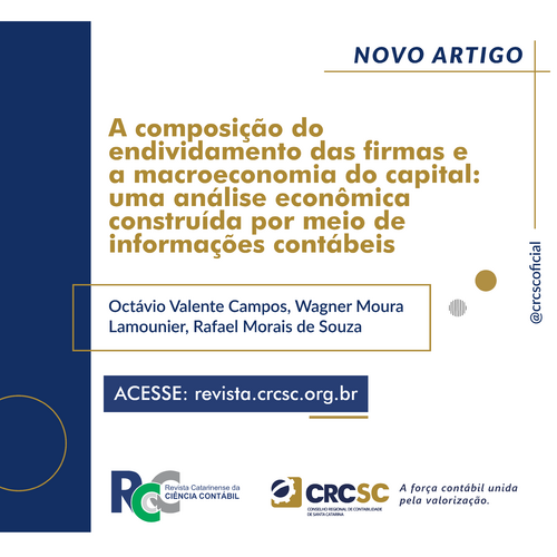 Artigo Revista RCCC: A composição do endividamento das firmas e a macroeconomia do capital: uma análise econômica construída por meio de informações contábeis